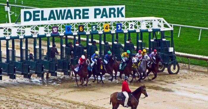 Delaware betting handle hits lowest point since August 2020 – Sports betting