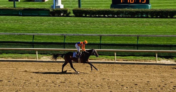 CDI looks to acquire after land sale boosts profit in Q2 – Half year results