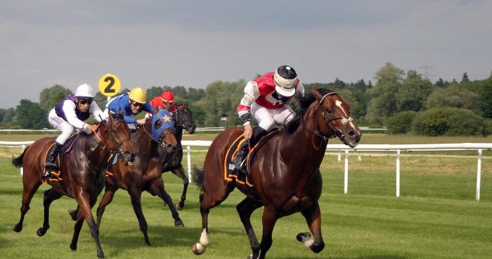 William Hill partners 2022 Racing League – Marketing & affiliates