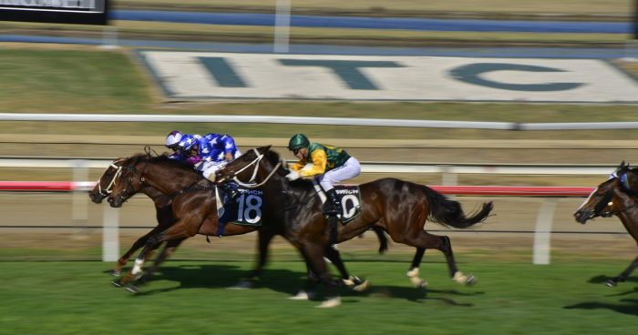 Queensland online betting tax rise leaves industry divided – Horse racing