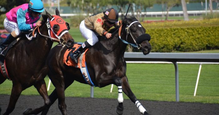 BetMakers’ revenue quadruples in FY22 ahead of News Corp launch – Finance