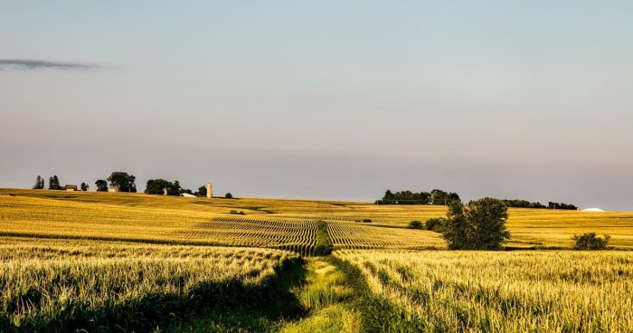 Iowa sports betting revenue down YoY in June despite handle increase