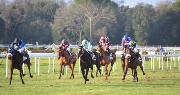 UK Tote Group names Spencer and Holt non-executive directors – People moves