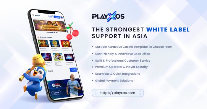 The Ultimate White Label Gambling Solutions with PLAYXOS