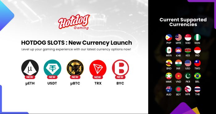 Hotdog Gaming Pop Up Released New Currency Options for Players
