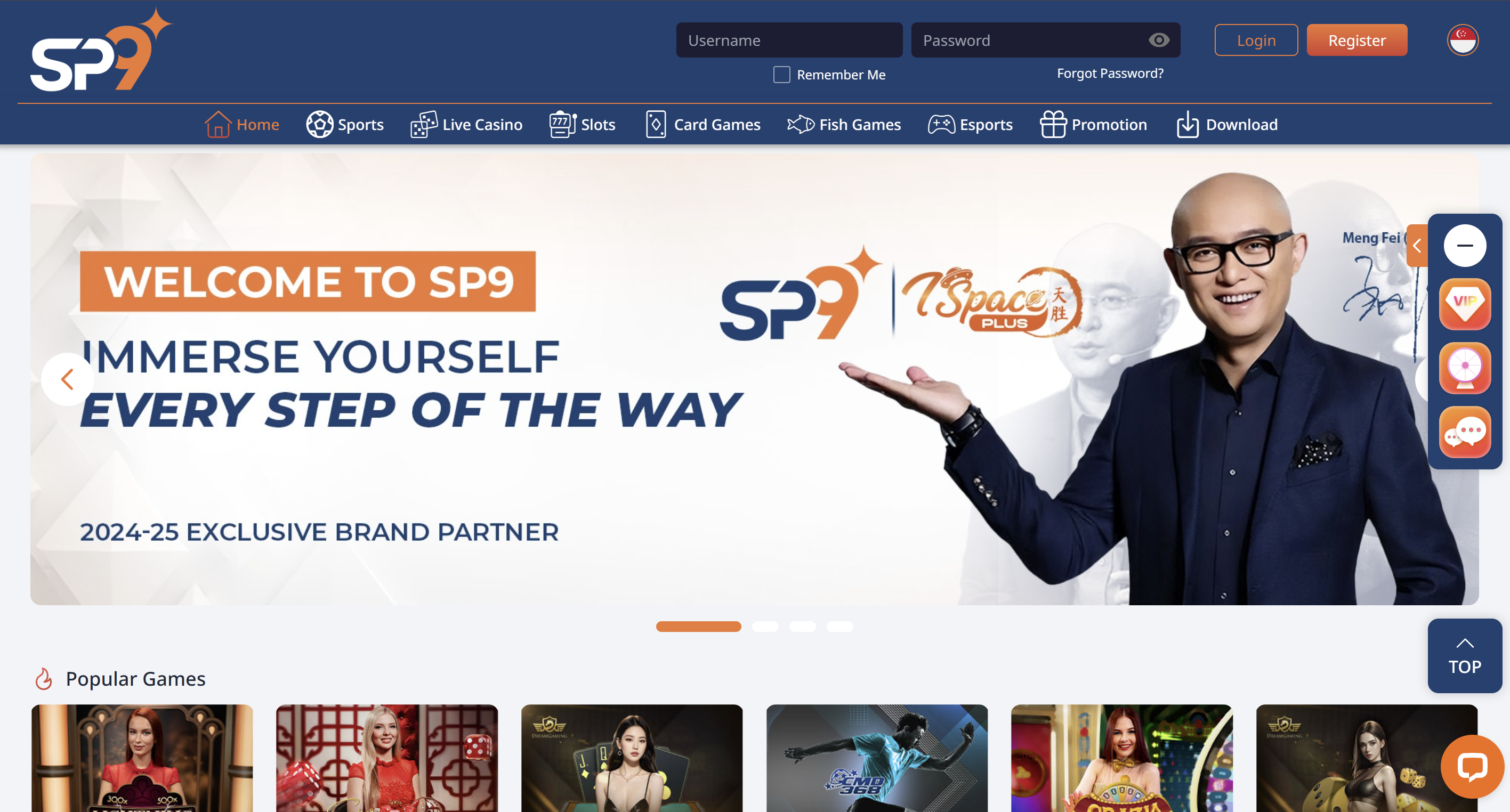 SP9 Website Interface Preview