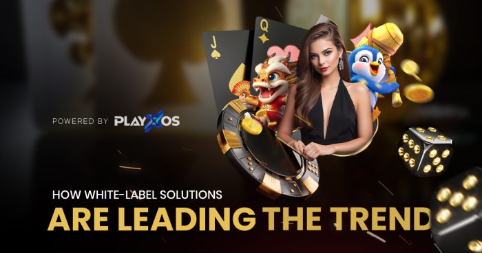 The Future of Online Gambling: White-Label Solutions Leading the Way