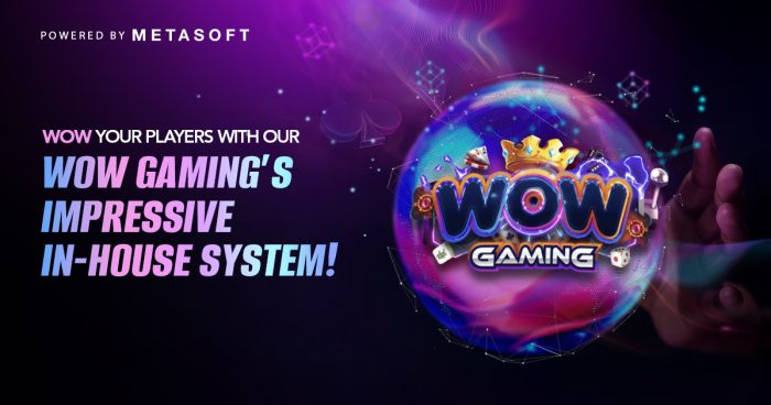 WOW GAMING In-House System: Setting a New Benchmark in IGaming