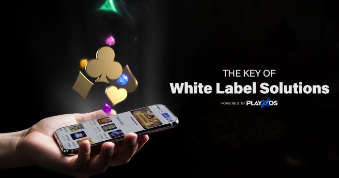 Unlock Growth in Gambling with White-Label Innovation