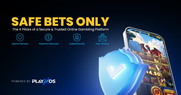 Win Big with PLAYXOS: Crafting a Safe Online Betting Haven