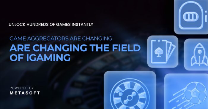 Investing in iGaming Infrastructure: Why METASOFT Aggregation Is the Scalable Edge