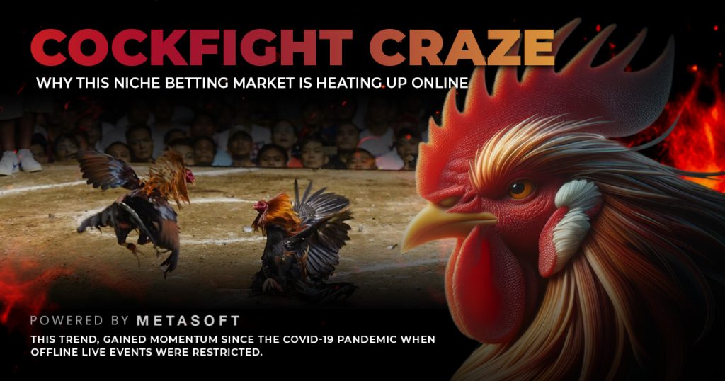 Why the Cockfight Betting Market Is Heating Up Online








