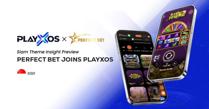 Strategic Partnership for Success: PLAYXOS Empowers IGaming Ventures Like Perfect Bet